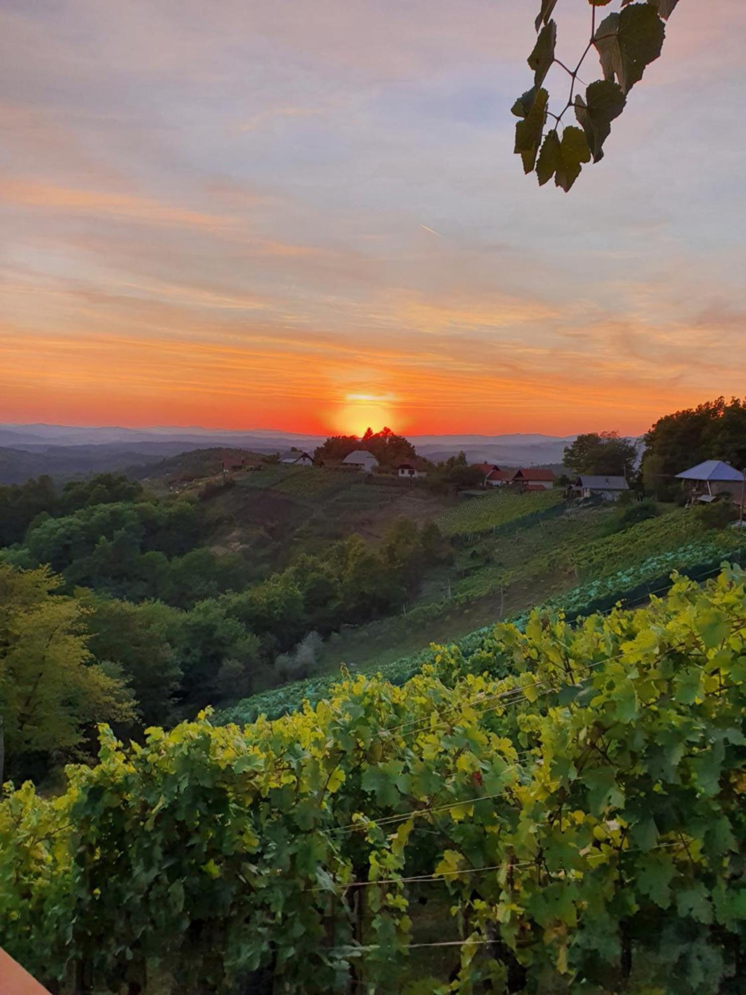 Vineyard Cottage Soncni Gric Trebnje المظهر الخارجي الصورة