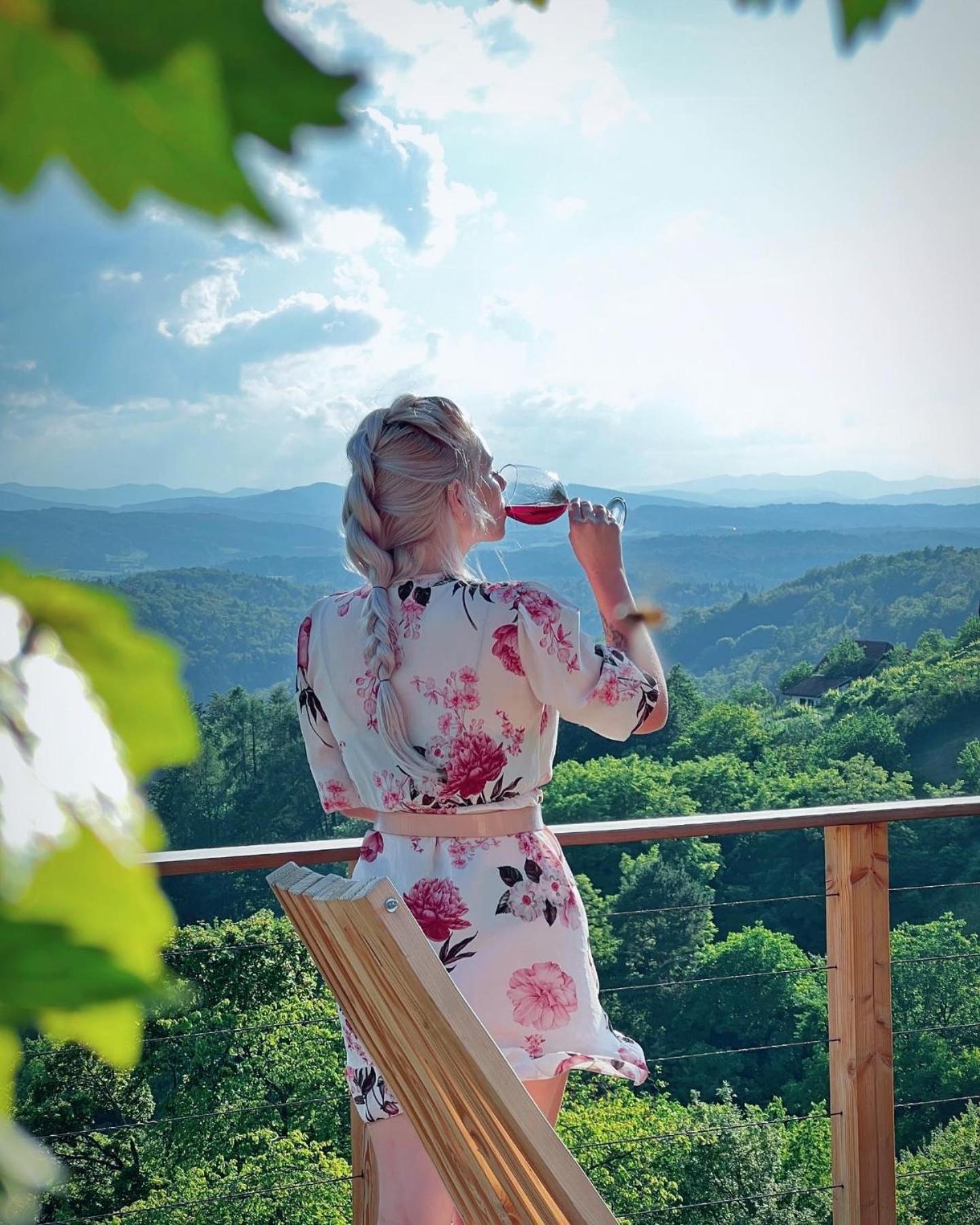 Vineyard Cottage Soncni Gric Trebnje المظهر الخارجي الصورة